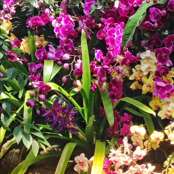 Meet your Posher, Cindy - Picture 5 of 12